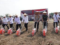 Kompak di Semarak Tanam Jagung, Bupati Apresiasi Sinergi Imigrasi dan Polresta Sidoarjo Siapkan Ketahanan Pangan
