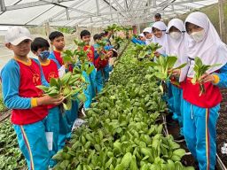 Outing Class di Kaliandra Pasuruan, SD Al Muslim Siap Wujudkan Siswa Generasi Peduli Lingkungan