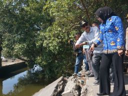 Jembatan Tambak Cemandi Sedati Putus Disidak Wabup Sidoarjo, Dinas PUBM Janji Bangunan Yang Lebih Baik Secepatnya