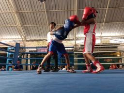 Gali Bibit Unggul, Pendaftaran 3 Hari Peserta Fun Fight Boxing Pertina Sidoarjo Membludak 84 Atlet dari Lokal - Jember