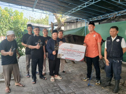 thumbnail Anggota DPR RI Kanang Salurkan Ratusan Hewan Kurban di Dapil VII Jatim