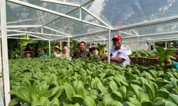 Baca juga : Geliat Ekonomi Hijau di Sidoarjo Menjanjikan, Pokmas Tsadewa Wage Taman Sukses Panen Perdana Sayur Hidroponik