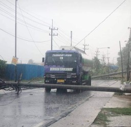 Hujan Deras Disertai Angin Kencang Sapu 3 Kecamatan di Sidoarjo, Robohkan Pohon, Tiang Listrik hingga Tenda Terbang