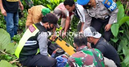 Tukang Potong Pohon di Ponorogo Tewas Tersengat Listrik