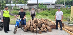 Polisi Ringkus Pembalak Kayu Perhutani di Kawasan Pulung Ponorogo