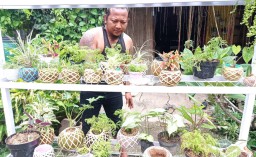 Sejak Pandemi Covid-19, Seniman Ponorogo Banting Setir Beralih Profesi Jadi Perajin Kokedama