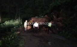 Hujan Deras Jalur Selur-Cepoko di Ponorogo Tertutup Longsoran Bongkahan Batu Besar