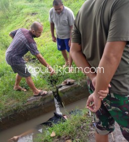 Mayat Pemuda Berpakaian Lengkap Tanpa Identitas di Sungai Sawah Gegerkan Warga Tulangan