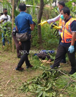 Warga Ponorogo Ditemukan Tetangga Tewas Jatuh dari Pohon saat Mencari Pakan Ternak