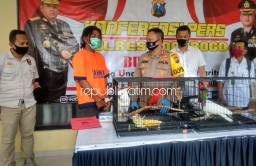 Jual Burung Dilindungi di Medsos, Warga Madiun Dijebloskan Tahanan Polres Ponorogo