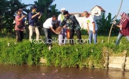 BHS Siap Kembangkan Budidaya Ikan Air Tawar di Sidoarjo