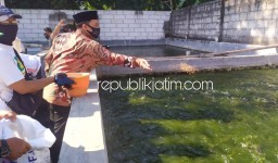 Menyehatkan Masyarakat, BHS Siap Kembangkan Sentra Budidaya Lele di Kecamatan Tarik