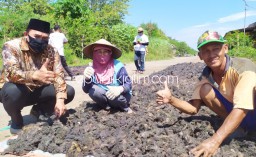 Terdampak Covid-19 Omzet Rumput Laut Turun 40 Persen, Petambak Ngadu ke BHS Soal Izin Penggunaan Air Laut