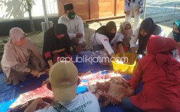 Berdayakan Peternak Sidoarjo, BHS Bagikan 9 Sapi dan 15 Kambing Kurban untuk Enam Kecamatan