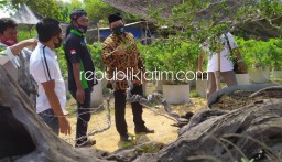 Terganjal Lahan dan Modal, BHS Siap Kembangkan Budidaya Bonsai Sidoarjo Ungguli Daerah Lain