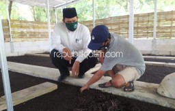 BHS Siap Fasilitasi Budidaya Cacing di Sidoarjo Mampu Layani Kebutuhan Pasar Luar Negeri