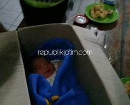 Bayi Cantik Dibuang Dibungkus Kardus, Gegerkan Warga Krian