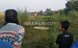 Pemuda Sudimoro Ditemukan Tewas dengan Tangan Mengepal Dipenuhi Gigitan Semut