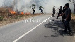 Dua Hektar Hutan Kayu Putih di Ponorogo Ludes Terbakar