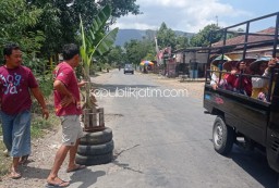 Cegah Korban Kecelakaan, Warga Terpaksa Tanami Pohon Pisang Jalan Berlubang Bungkal - Ngrayun Ponorogo