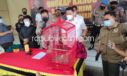 Polresta Sidoarjo Ringkus Perdagangan Burung Ilegal Dilindungi Asal Papua