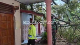 Pohon Tumbang Saat Hujan Deras Disertai Angin Kencang Timpa Gedung SDN di Ponorogo