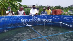 Siapkan Program Makan Ikan Gratis, BHS-Taufiq Berdayakan Pengembangan Budidaya Ikan di Sidoarjo