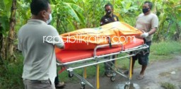 Kakek Tua Asal Seketi Balongbendo Ditemukan Tewas Terjebur Sumur di Kebun Sengon Katerungan