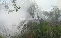 Ilalang Terbakar, Nyaris Merembet ke Rumah Warga Dan Pabrik