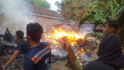 Gara-Gara Goreng Telur, Rumah Warga di Ponorogo Ludes Terbakar