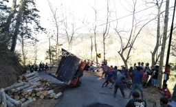 Truk Sarat Muatan Sengon, Terguling di Tikungan Jalur Bungkal - Ngrayun