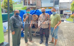 Dua Tersangka Pencurian Kayu Sono Hutan Asal Tulungagung Diringkus Polisi Ponorogo, Lima Lainnya Kabur