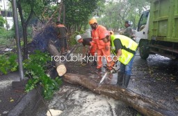 Antisipasi Pohon Tumbang, Bupati Sidoarjo Instruksikan DLHK Rajin Kepras Pohon