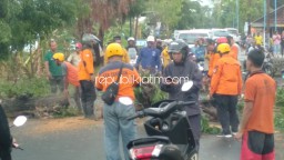 Ponorogo Diterjang Angin Kencang, Pohon Tumbang Tutup Jalan Seorang Tewas Tertimpa Lapak Pasar Malam