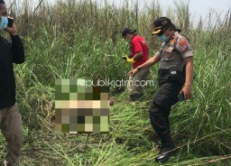 Jenazah Perempuan Telanjang Diduga Mahasiswi Akper Diperkirakan Meninggal 3 Hari Sebelum Ditemukan