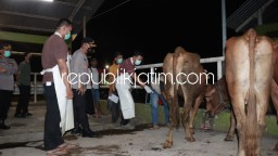 Antisipasi Penyebaran PMK, Kapolresta Sidoarjo Cek Kesehatan Sapi di RPH Krian Sebelum Dipotong