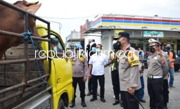 Antisipasi Penularan PMK Sapi, Sidoarjo Batasi Lalu Lintas Ternak ke Luar Kota Hingga Awasi Peternak Maupun RPH