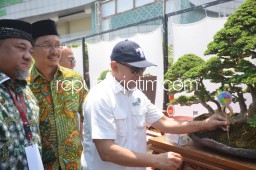 Dibuka Menkop dan Bupati Sidoarjo, Pameran Bonsai di MPP Harganya Fantastis Capai Rp 2 Miliar
