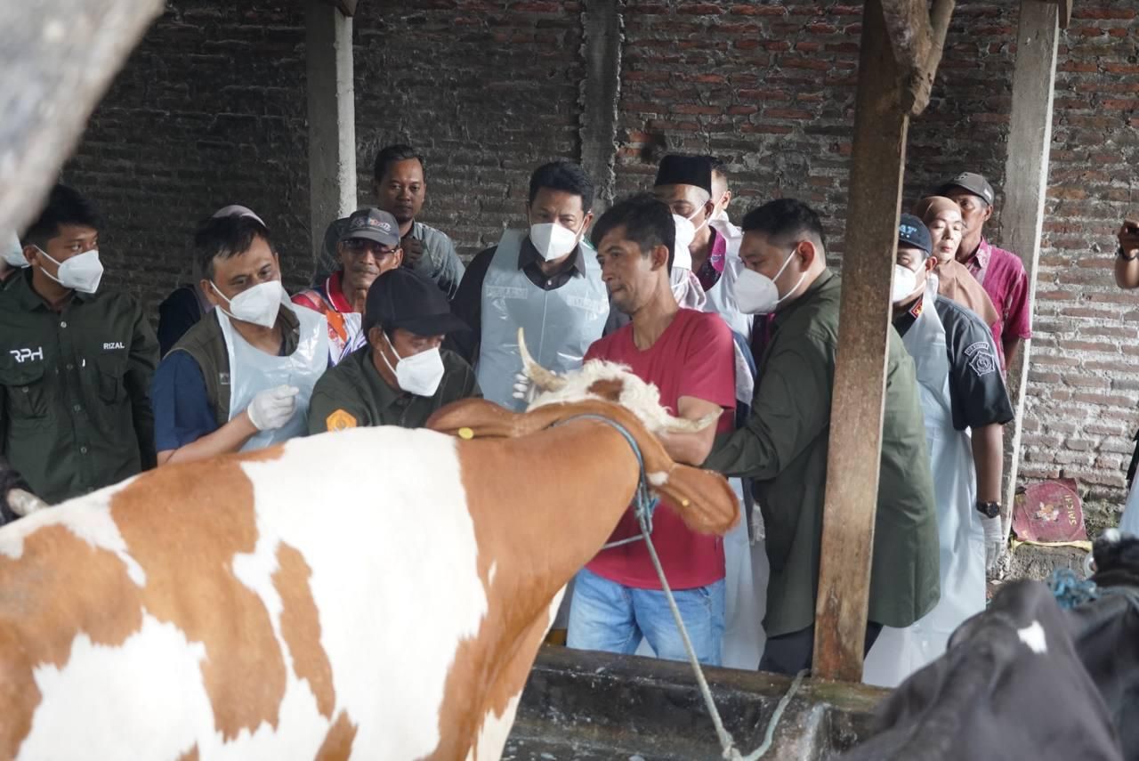 CEGAH PMK - Plt Bupati Sidoarjo Subandi didampingi Dandim 0816 Sidoarjo Letkol Inf Dedyk Wahyu Widodo memimpin Apel Siaga Tanggap Cepat Penanganan PMK di Kantor Kecamatan Sukodono, Kamis (23/01/2025).