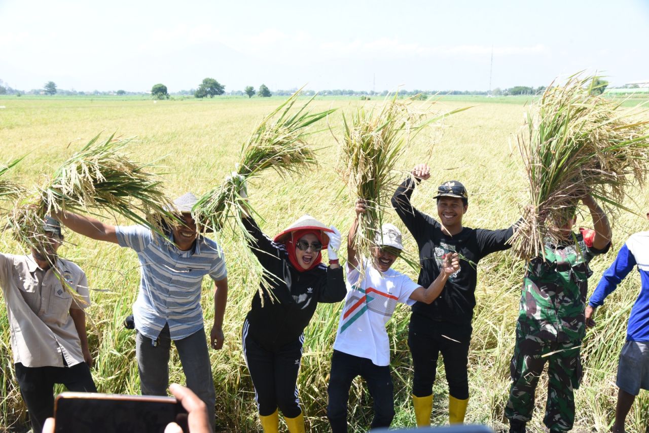 PANEN - Pemdes Bakung Temenggungan, Kecamatan Balongbendo mengundang Wabup Sidoarjo Mimik Idayana saat merayakan panen perdana padi sekaligus syukuran lahan 12 hektar terselamatkan Minggu (28/09/2025).