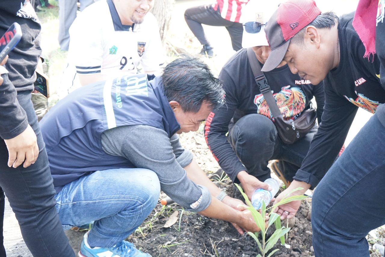 TANAM - Kecamatan Tulangan berkolaborasi dengan DLHK Pemkab Sidoarjo kerja bakti program Tarian Tangan (Tanaman Ribuan Pepohonan di Kecamatan Tulangan) di Desa Tlasih, Kecamatan Tulangan, Sidoarjo, Jumat (28/11/2025).