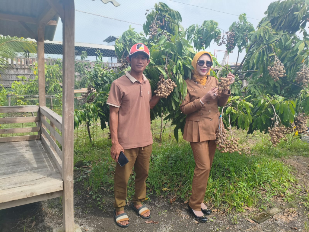 SIDAK - Wabup Sidoarjo Mimik Idayana mengapresiasi pengelolaan kebun kelengkeng di wilayah Tulangan yang dinilai berhasil memanfaatkan lahan tidur menjadi produktif dan berpotensi dikembangkan destinasi agrowisata, Selasa (31/03/2026).