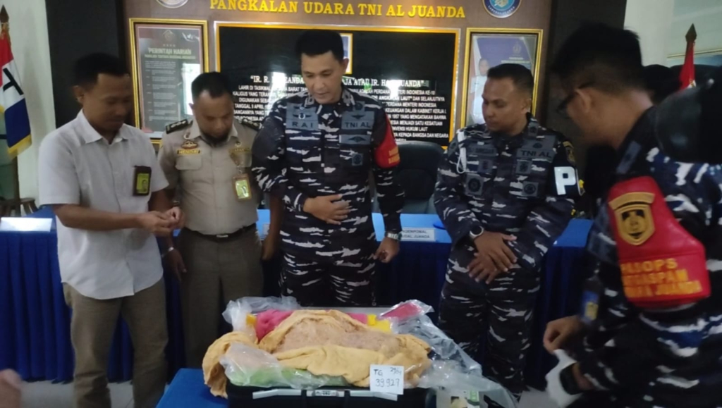 BENIH LOBSTER - Sinergi petugas gabungan di Bandara Internasional Juanda, Sidoarjo berhasil menggagalkan upaya penyelundupan 39.927 Benih Bening Lobster (BBL) jenis mutiara ke Vietnam, Sabtu (25/04/2026).