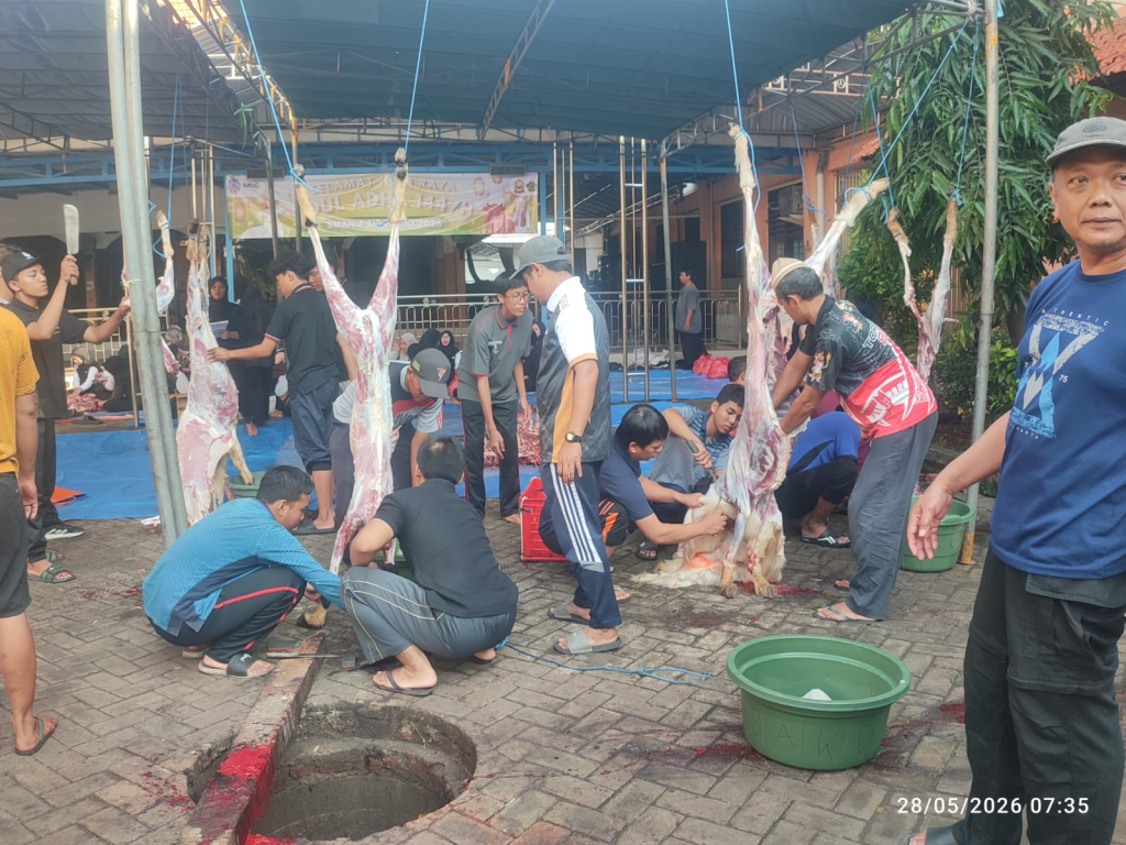 KURBAN - SMAN 4 Sidoarjo melaksanakan penyembelihan 3 ekor sapi dan 6 ekor kambing di halaman masjid sekolah favorit di Kota Delta itu, Kamis (28/05/2026).