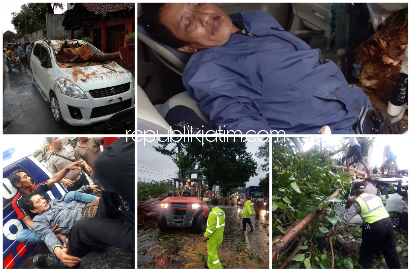 TUMBANG - Sebuah pohon Ambar yang ada di JL Raya Surabaya - Mojokerto Desa Bakungtemenggungan, Kecamatan Balongbendo, Sidoarjo menimpa mobil Suzuki Ertiga hingga sopirnya terluka, Senin (06/01/2020) petang.