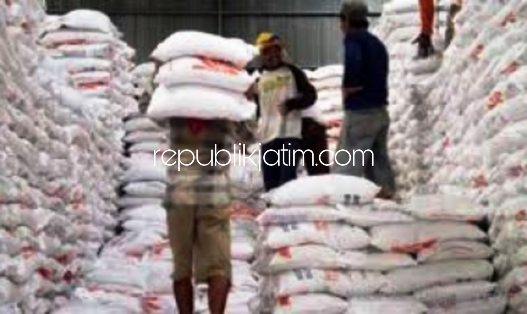 AMAN - Stok beras yang ada di Perum Bulog Sub Divre Ponorogo dinyatakan aman hingga memasuki musim panen awal Tahun 2019.