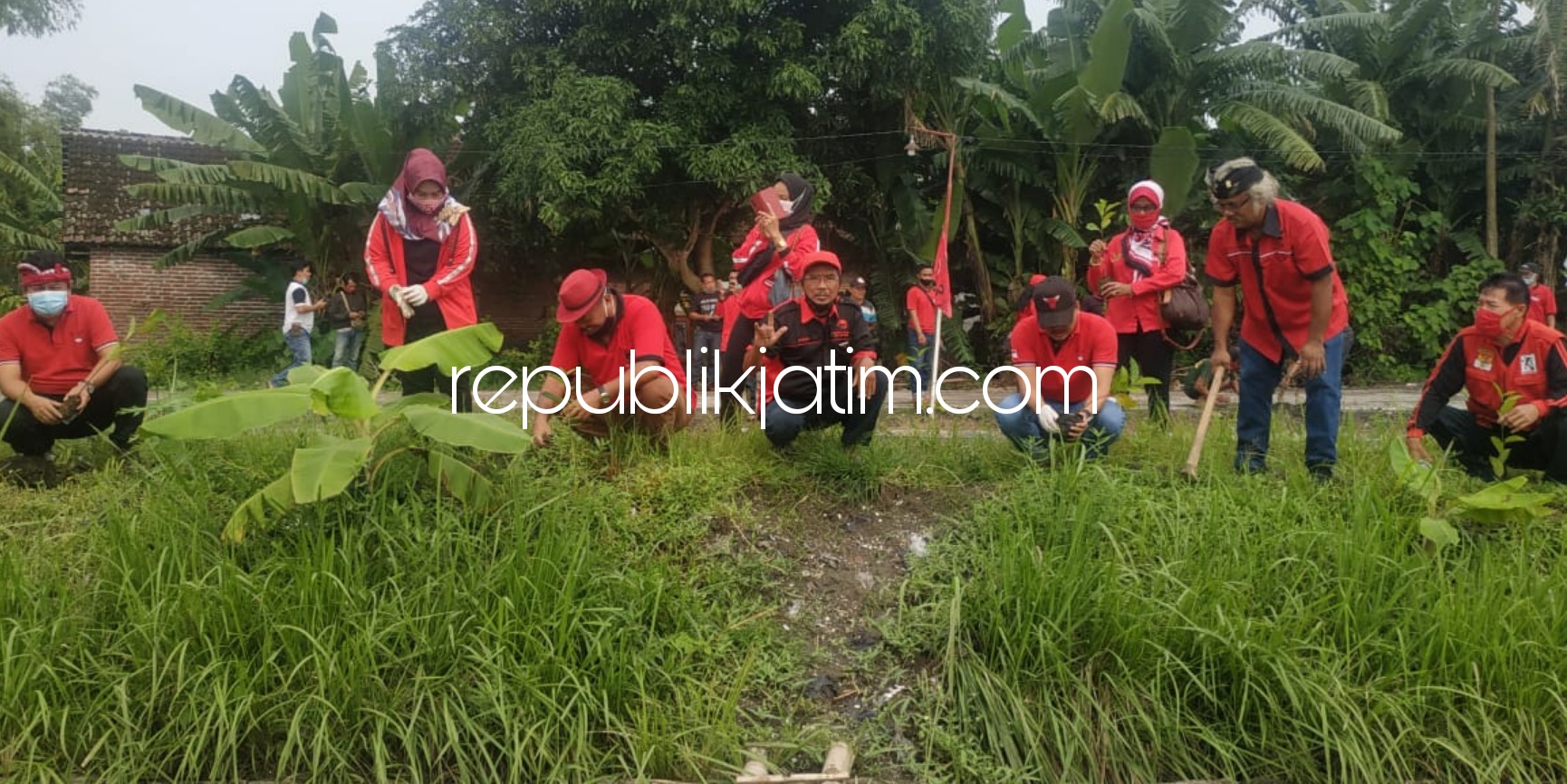 TANAM POHON - Sejumlah anggota Fraksi PDIP DPRD Sidoarjo dan pengurus DPC PDIP Sidoarjo menanam 1.000 pohon di pinggir Sungai Bokong, Desa Wonoplintahan, Kecamatan Prambon, Sidoarjo, Sabtu (23/01/2021).