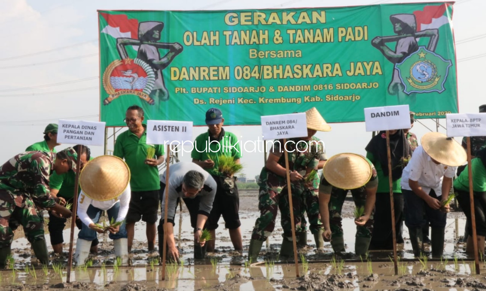 TANAM PADI - Danrem 084/Bhaskara Jaya, Kolonel Inf Sudaryanto didampingi, Dandim 0816/Sidoarjo, Letkol Inf M Iswan Nusi memimpin gerakan tanam padi bersama Forkopimda di Desa Rejeni, Kecamatan Krembung, Sidoarjo, Rabu (12/02/2020).