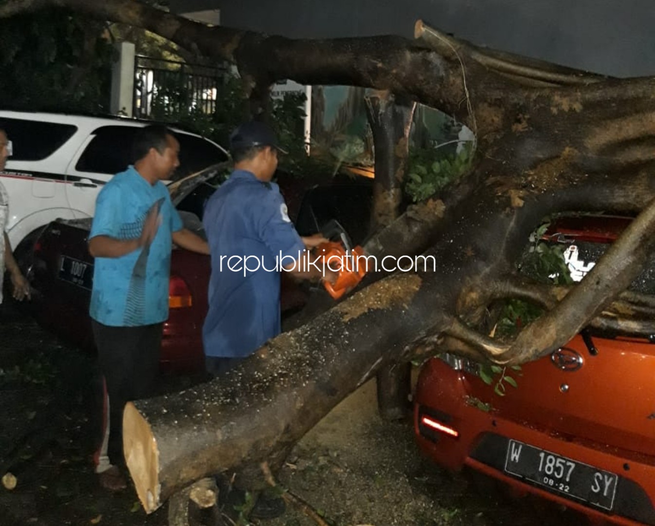 TERTIMPA - Sebanyak 3 mobil yang tengah di parkir di halaman Pusat Kuliner JL Gajahmada Sidoarjo ringsek tertimpa pohon yang ambruk bersamaan hujan ringan, Jumat (21/02/2020) pukul 21.20 WIB.