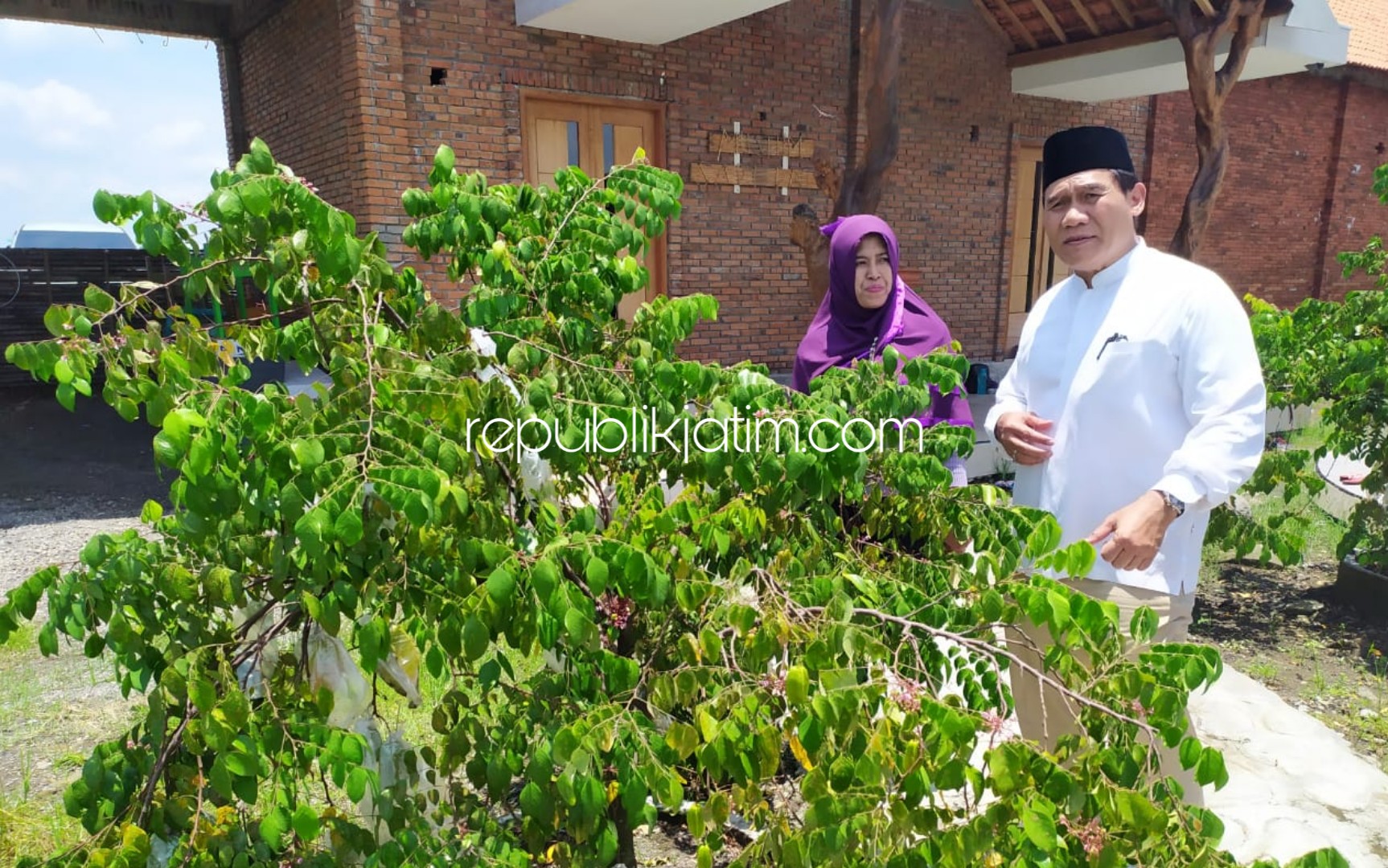 DIKEMBANGKAN - Bacabup Sidoarjo, Bambang Haryo Soekartono mendorong Desa Wisata Watesari, Kecamatan Balongbendo, penghasil blimbing madu dengan ukuran 2 buah seberat 1 kilogram dikembangkan, Sabtu (29/02/2020).